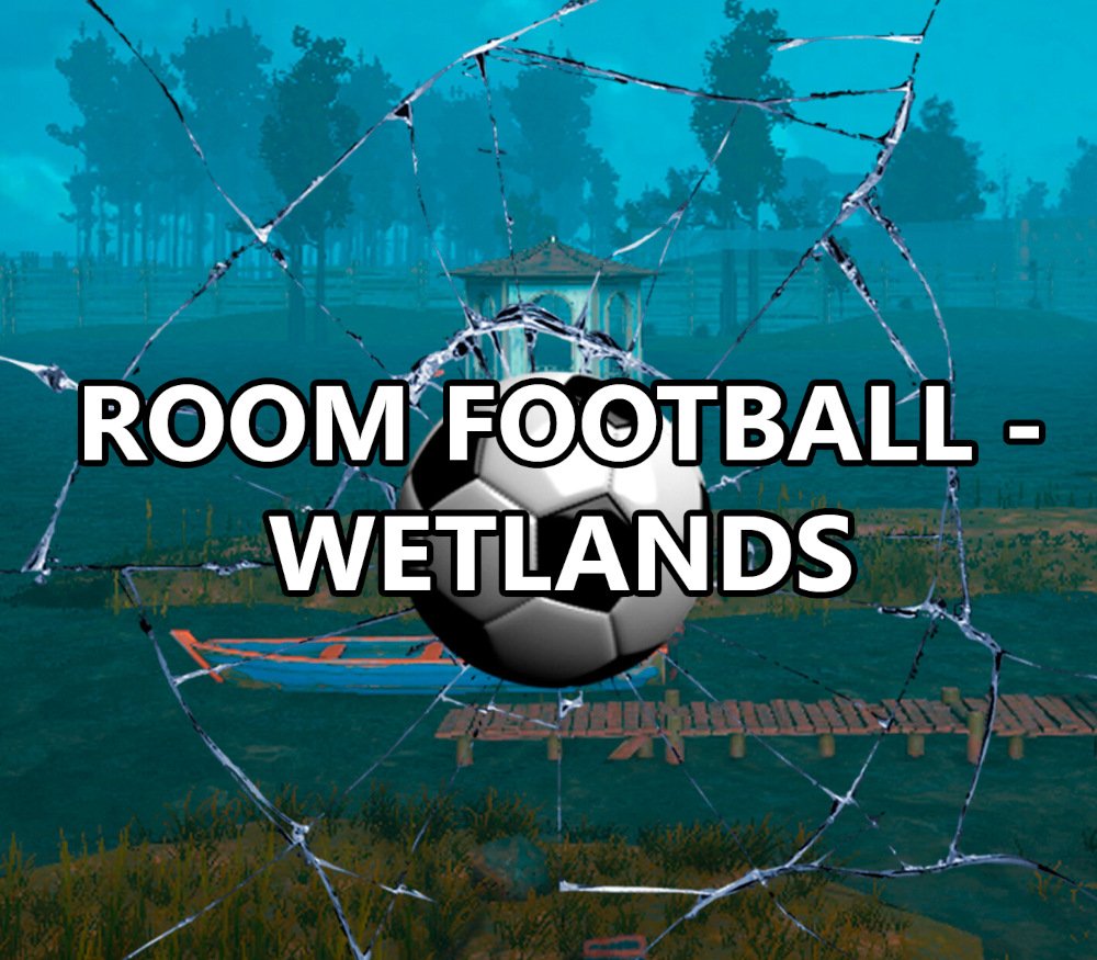 ROOM FOOTBALL: Wetlands 