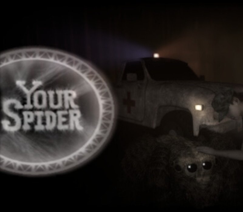 Your Spider 