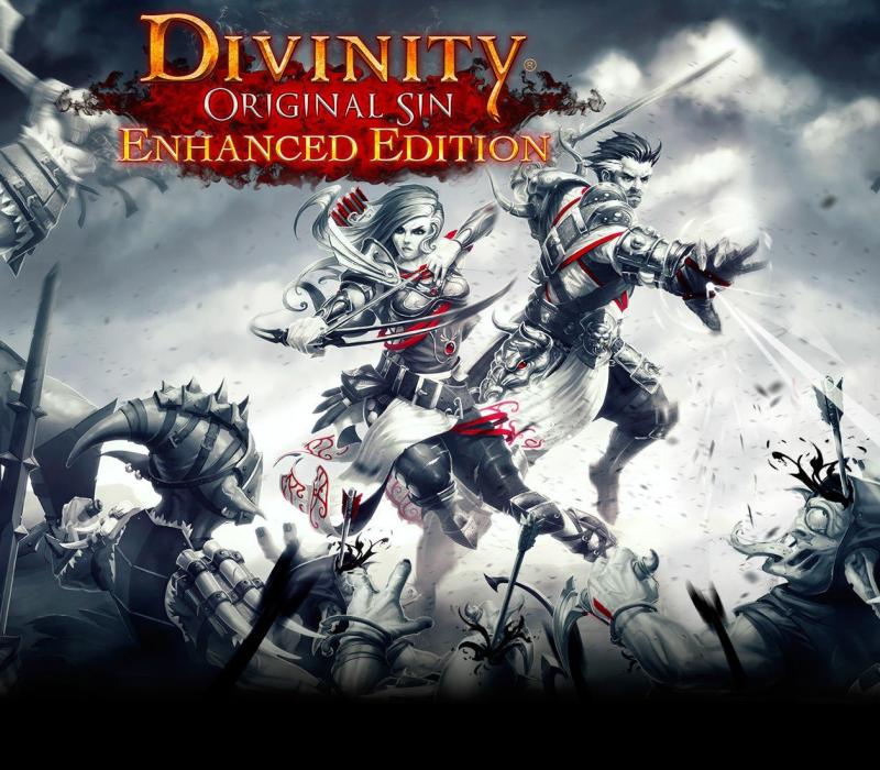 Divinity: Original Sin Enhanced Edition LATAM