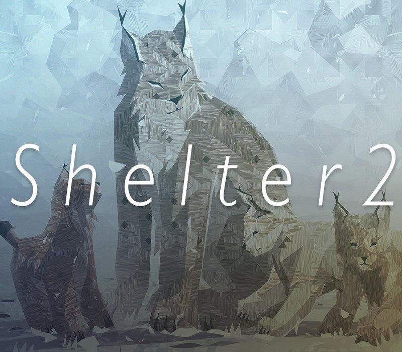 Shelter 2 