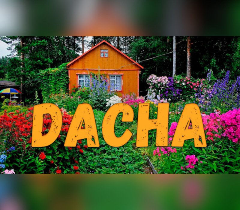 DACHA 
