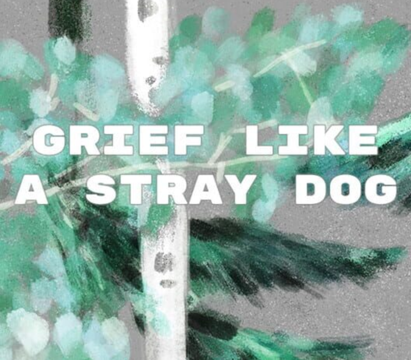 Grief like a stray dog 