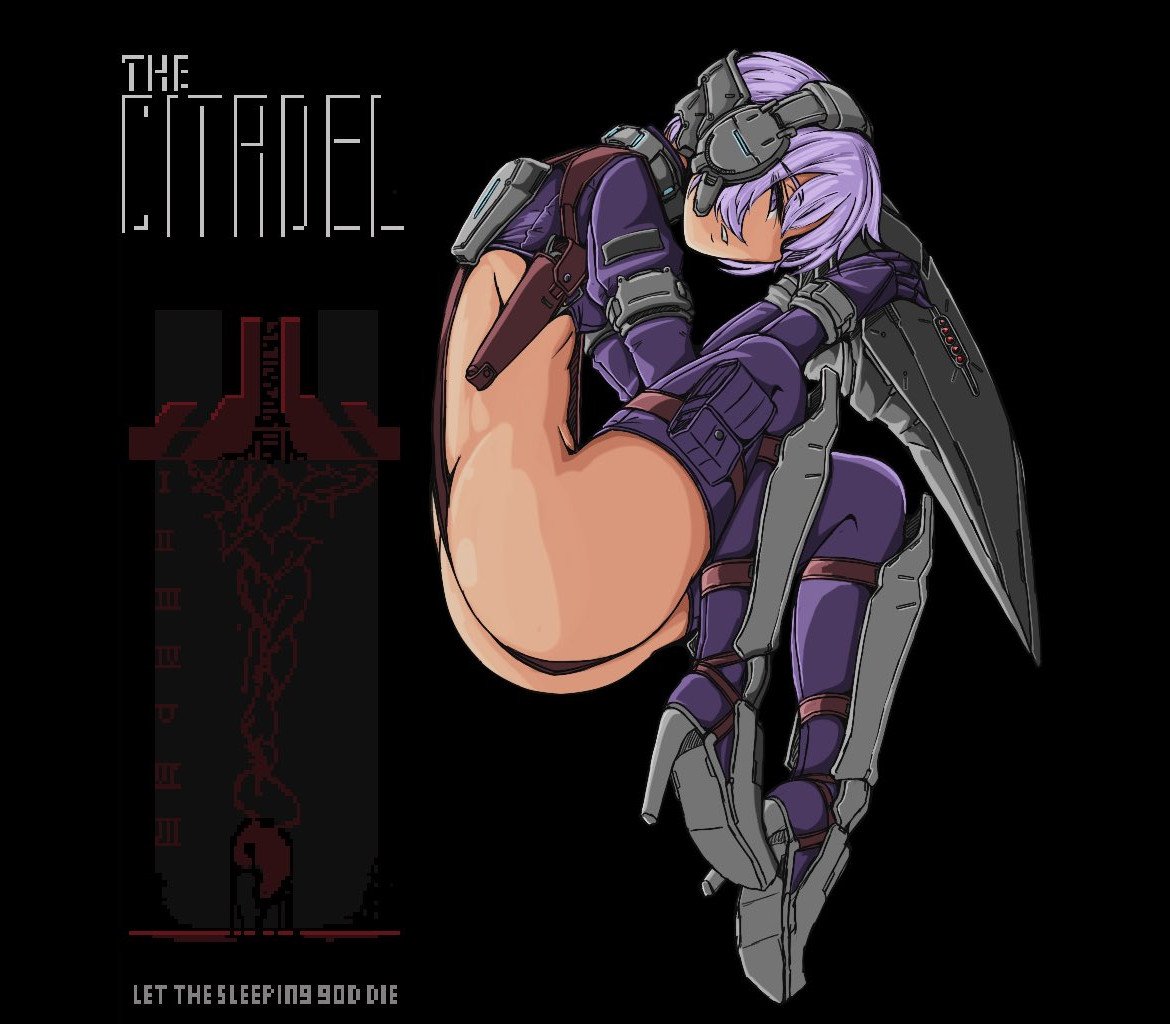 The Citadel 