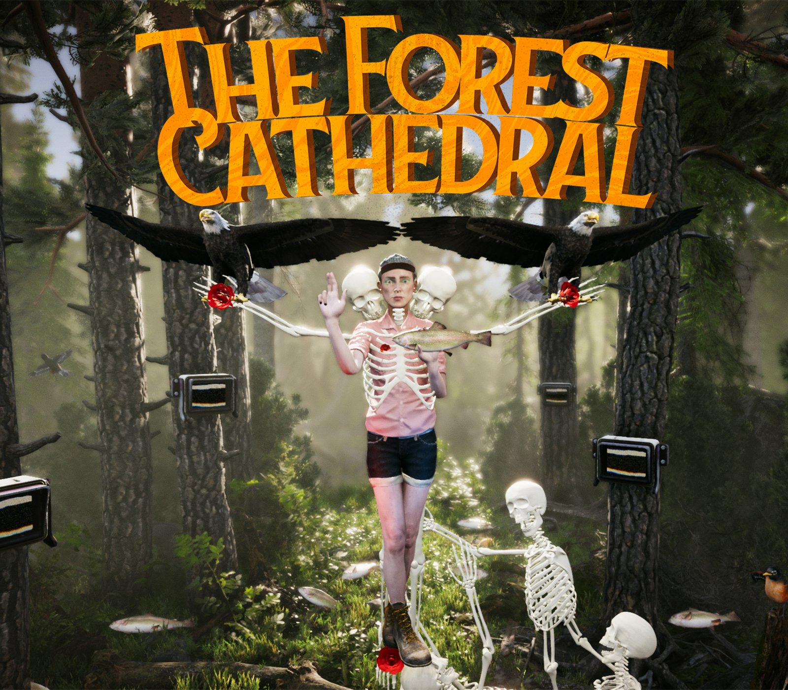 The Forest Cathedral 