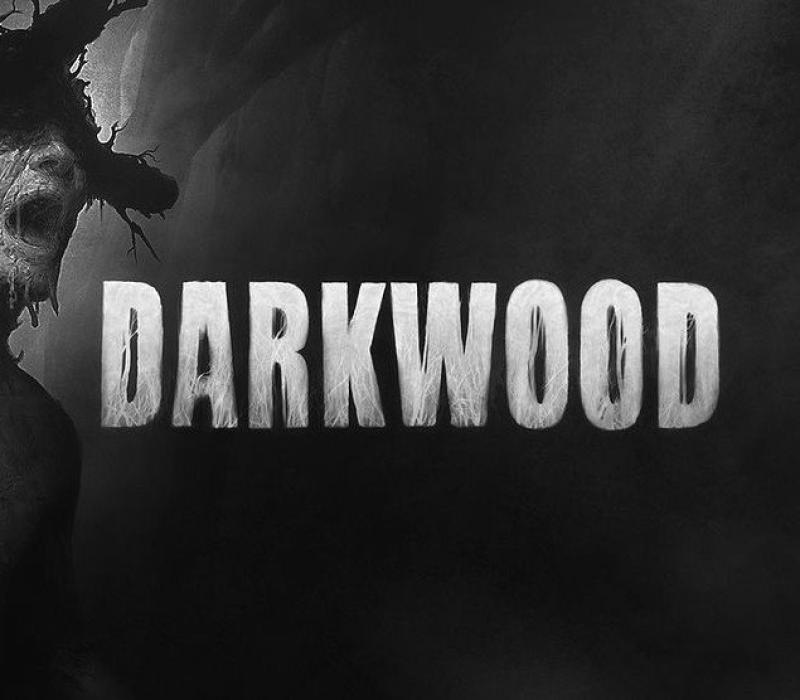 Darkwood LATAM