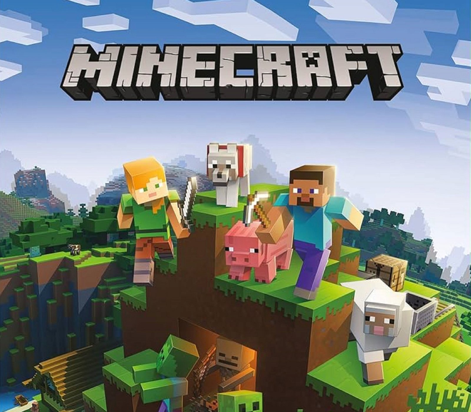 Minecraft for 