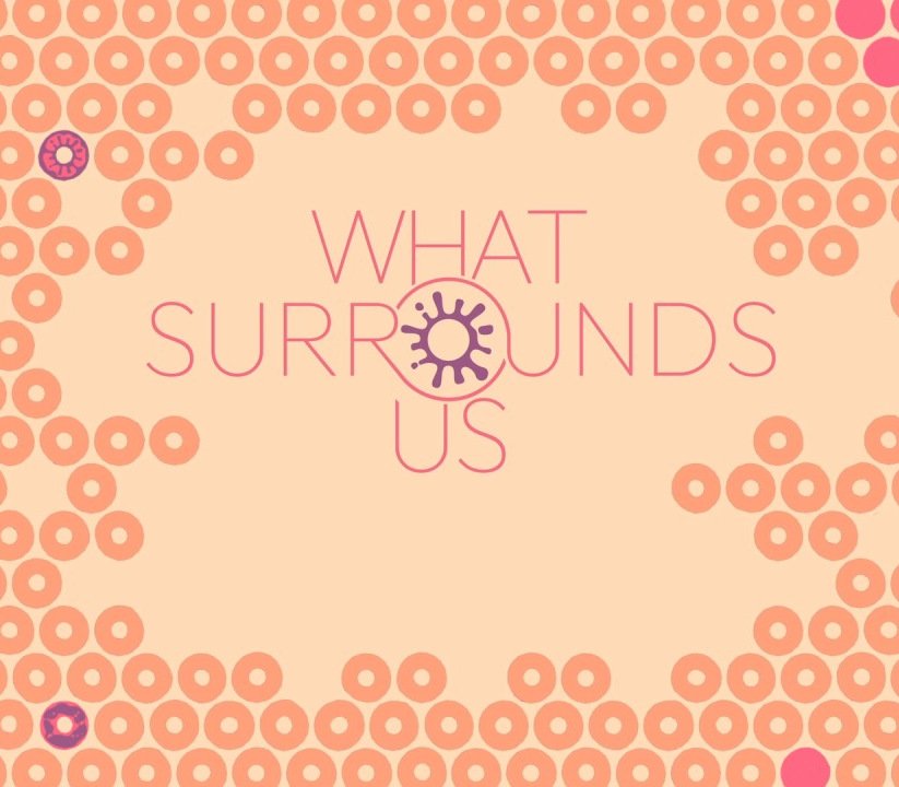 What Surrounds Us 