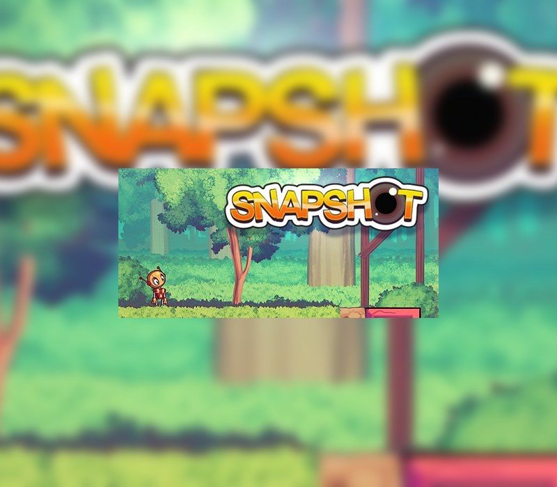 Snapshot 