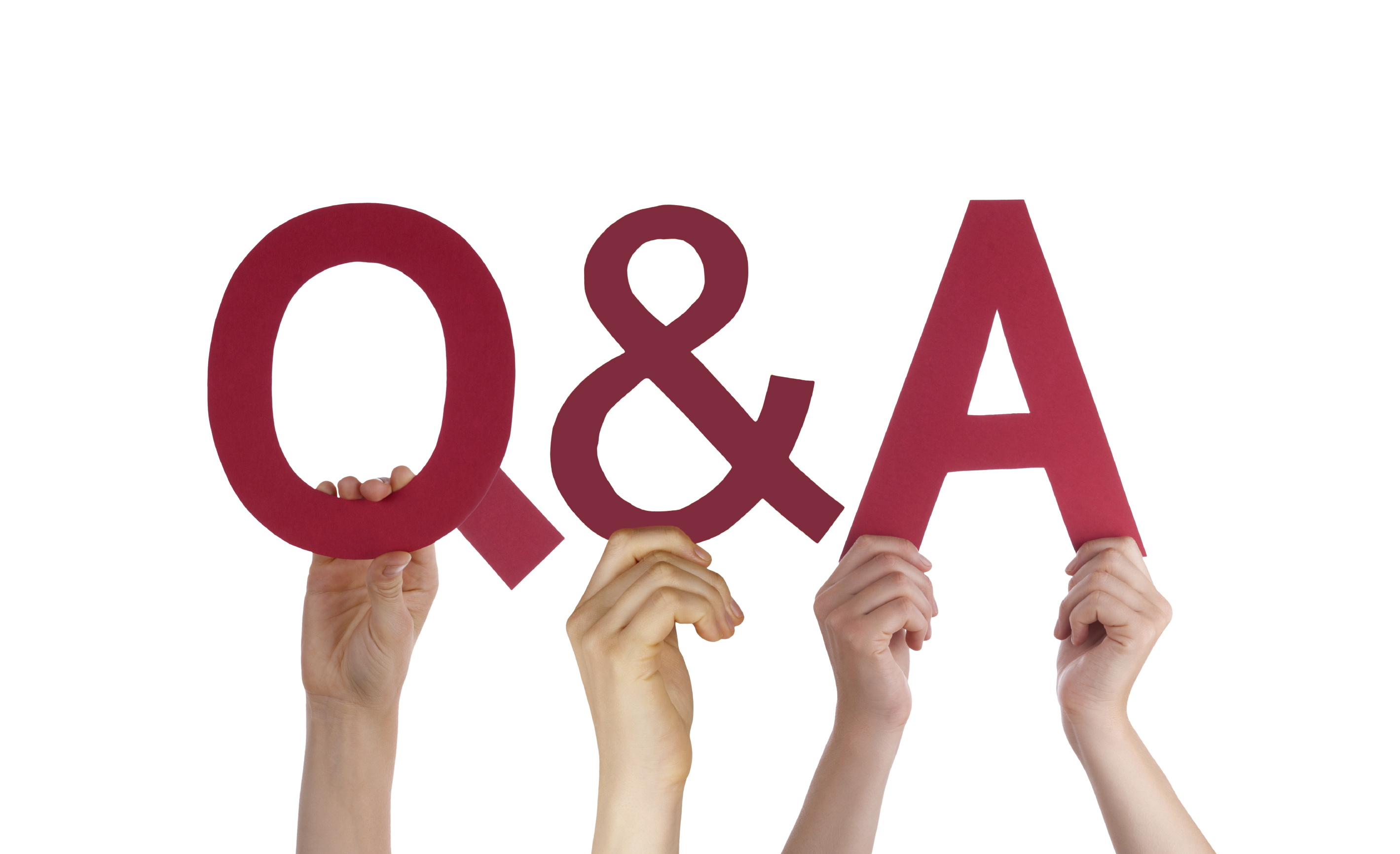 Q&A: How Games Keep Us Engaged