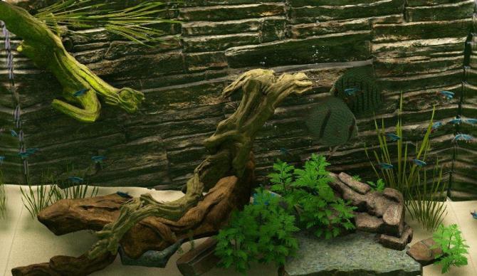 Biotope 
