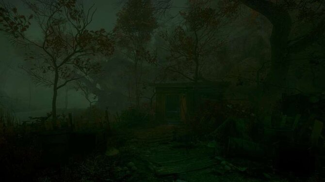 The Cursed Forest 
