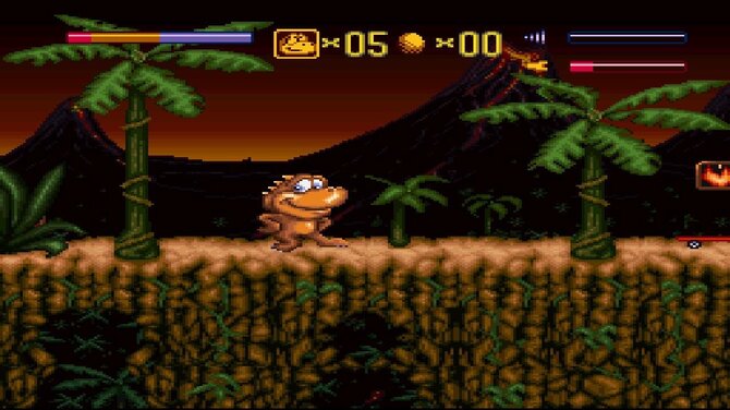 Radical Rex 