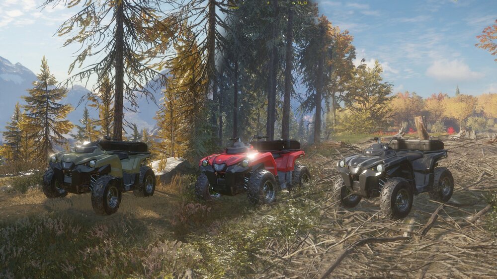 theHunter: Call of the Wild Gold Bundle 