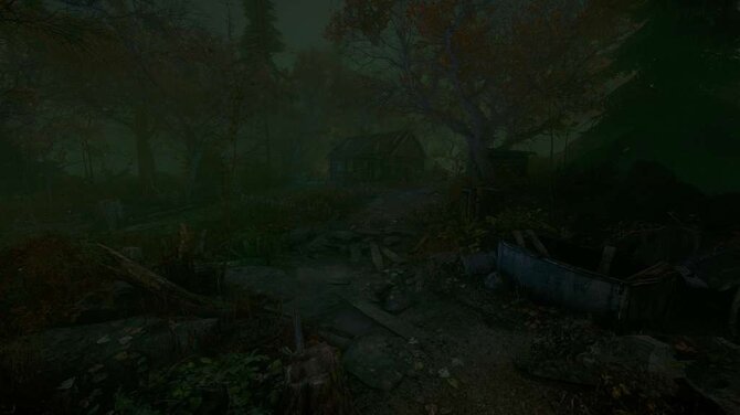 The Cursed Forest 