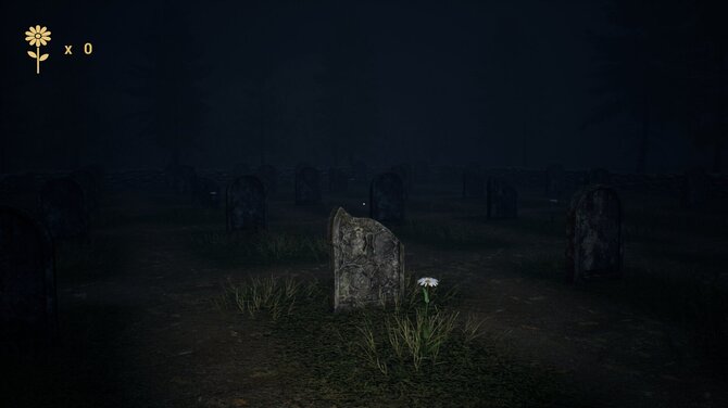 The Witch and The Lost Babies 