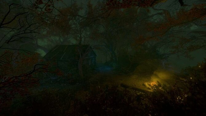 The Cursed Forest 