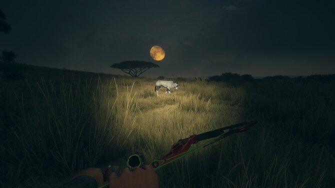 theHunter: Call of the Wild - Seasoned Hunter Bundle 