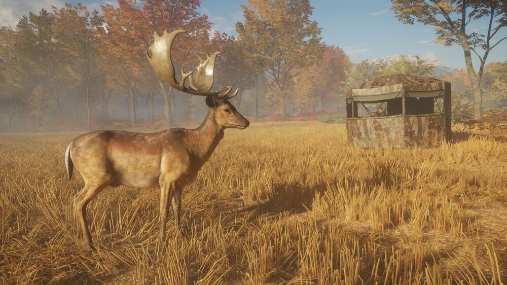 theHunter: Call of the Wild Gold Bundle 