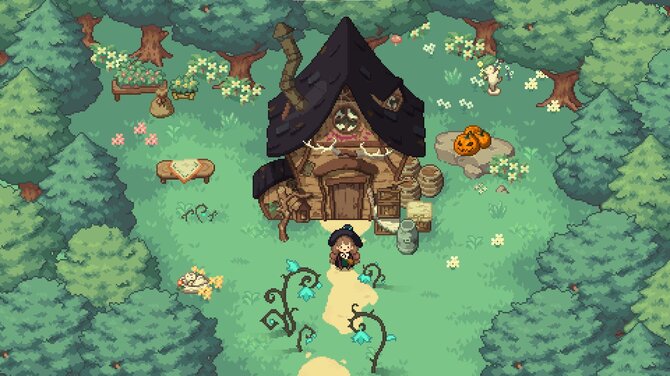 Little Witch in the Woods 