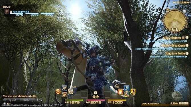 Final Fantasy XIV: A Realm Reborn Collector's Edition 