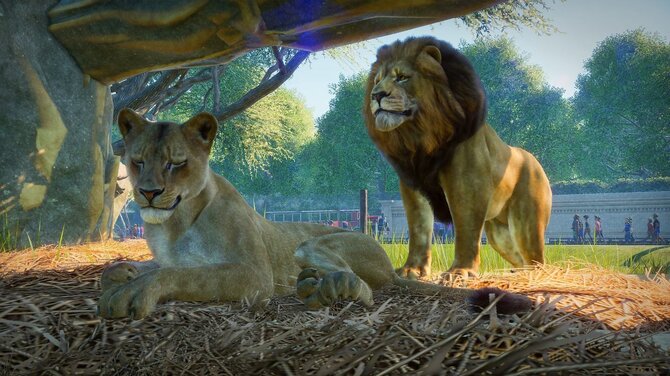 Planet Zoo Deluxe Edition 
