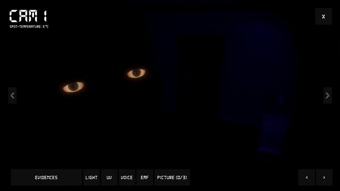 Paranormal Observation 