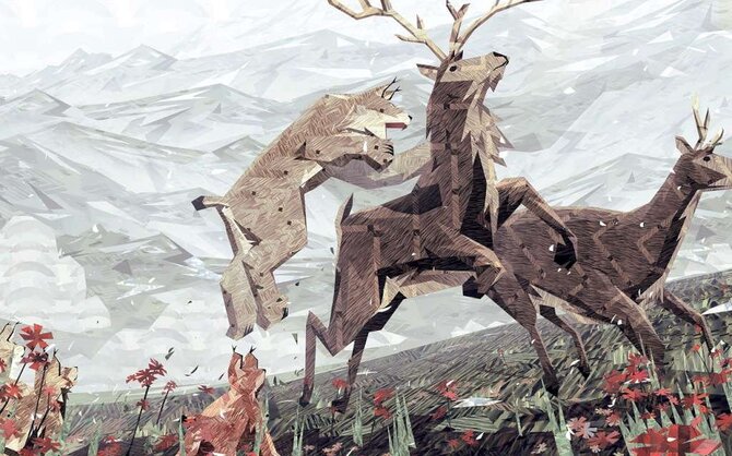 Shelter 2 