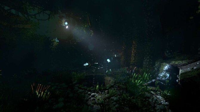 SOMA 