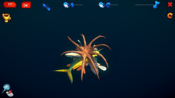 How Much Items - Fishes 