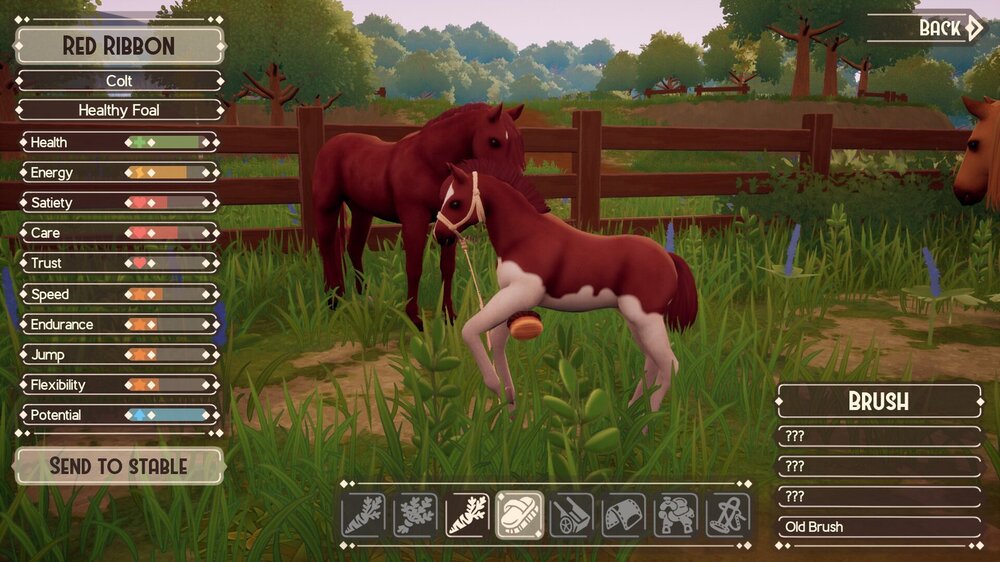The Ranch of Rivershine 