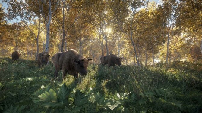 theHunter: Call of the Wild 