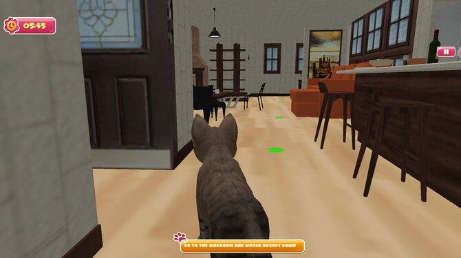 City of Cats 