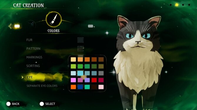 Warrior Cats: Clans of the Forest 