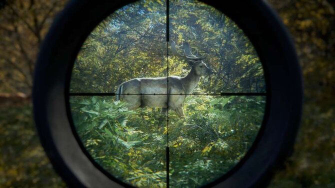 Call of the Wild Bundle 