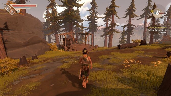 Pine 