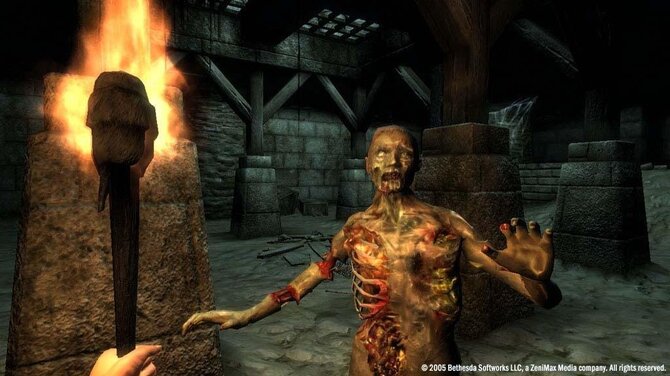 The Elder Scrolls IV: Oblivion GOTY Edition 