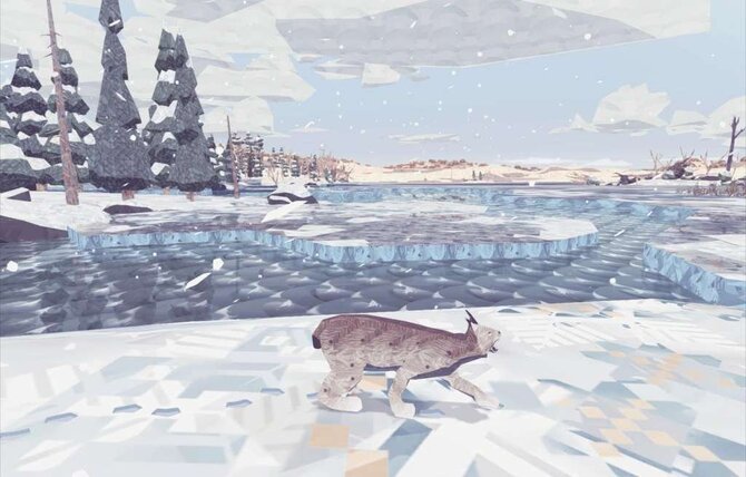 Shelter 2 