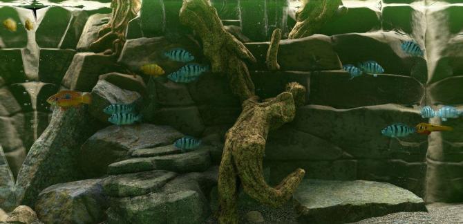 Biotope 