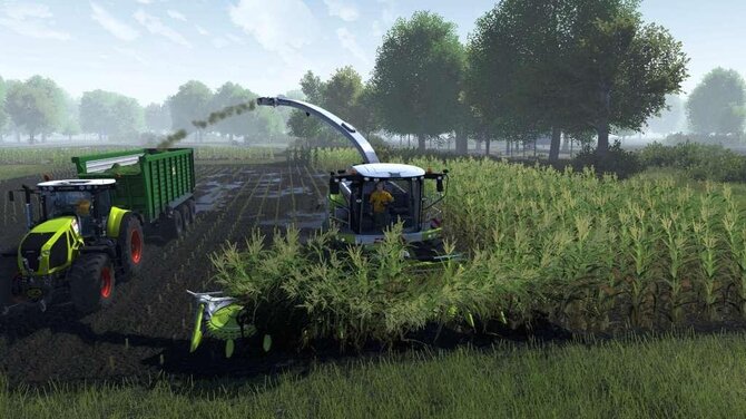 Cattle and Crops 