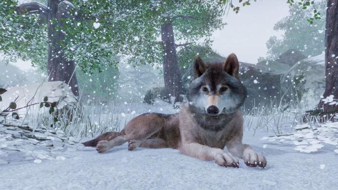 Planet Zoo: Ultimate Edition 2022 
