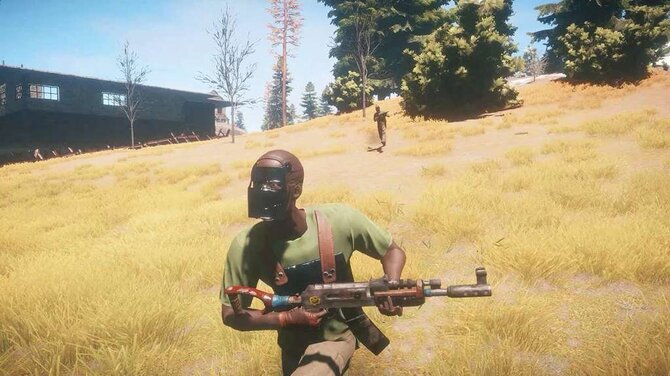 Rust 