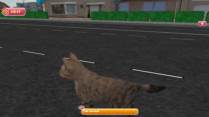 City of Cats 