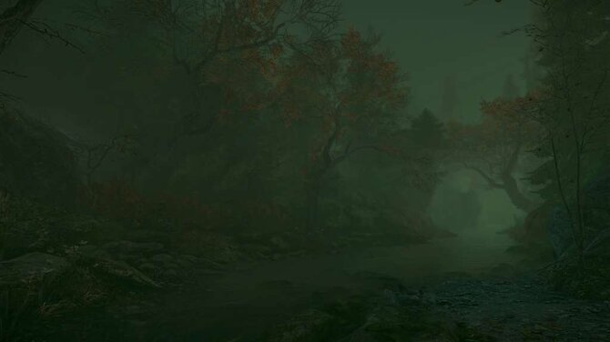 The Cursed Forest 