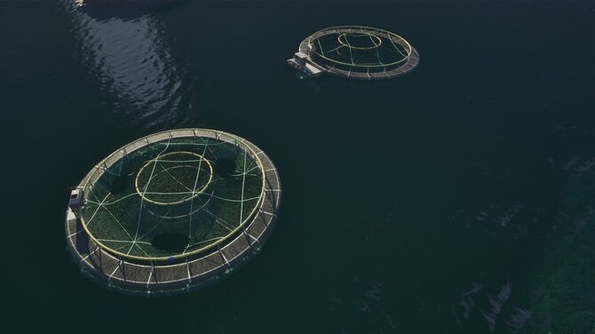 Ships At Sea 
