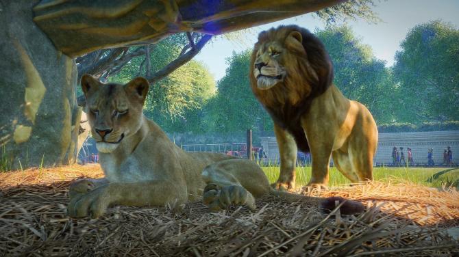 Planet Zoo: Ultimate Edition 2022 