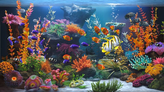 Zen Aquarium 