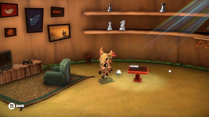 Raccoo Venture 