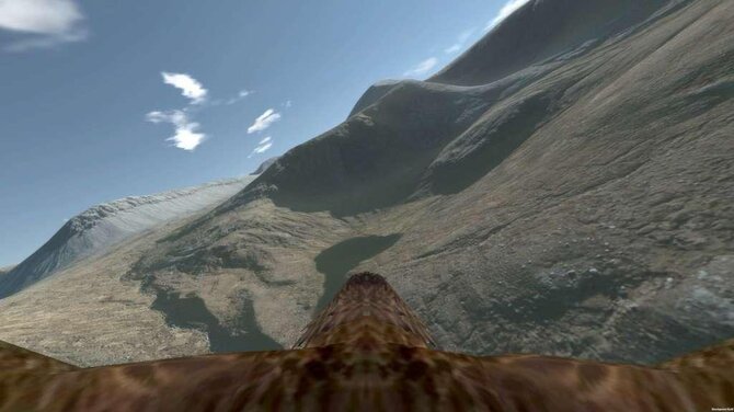 Aquila Bird Flight Simulator 