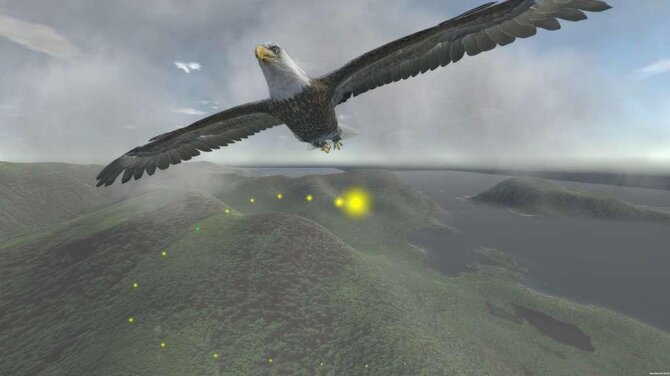 Aquila Bird Flight Simulator 