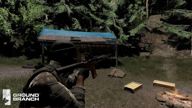 Ground Branch 